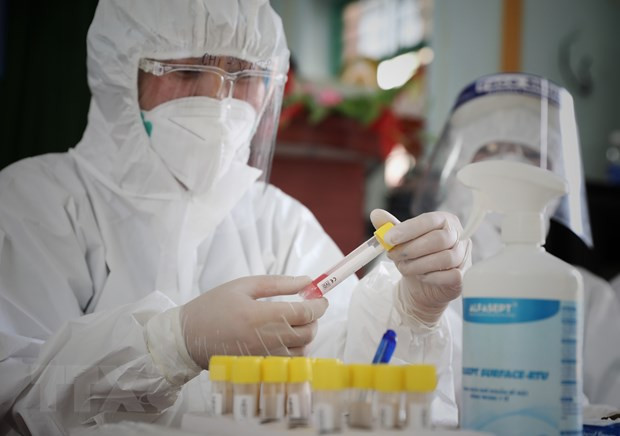  (Ảnh: Danh Lam/TTXVN)