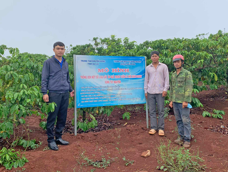 Mô hình sinh kế tại xã Ia Phìn đã giúp đoàn viên, thanh niên có thêm điều kiện sản xuất để cải thiện thu nhập. Ảnh: Thương Nguyễn