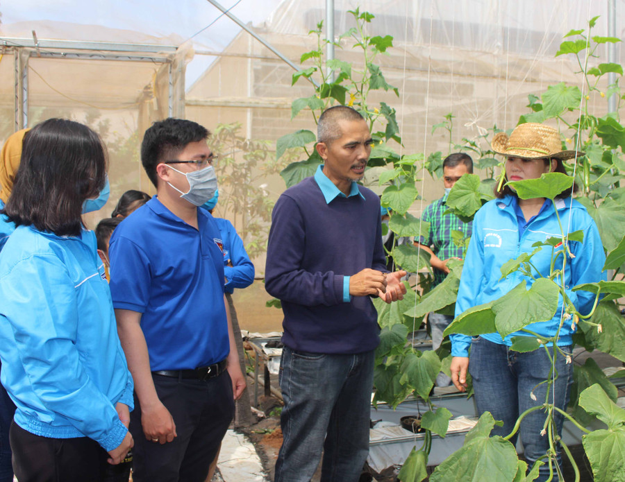 Sản xuất nông nghiệp theo hướng công nghệ cao là hướng đi khởi nghiệp mới, được nhiều bạn trẻ quan tâm. Ảnh Phan Lài. 