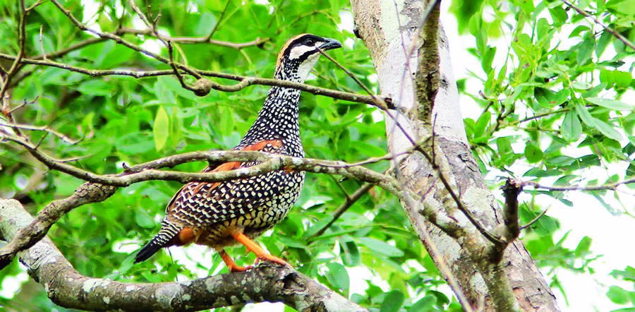 Ảnh minh họa: Internet