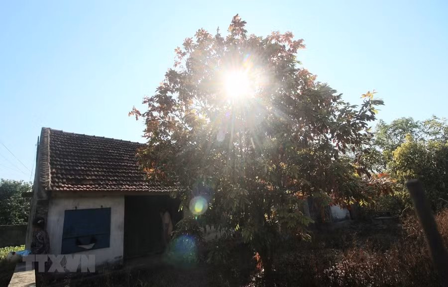 Ảnh minh họa. (Nguồn: TTXVN) Ảnh minh họa. (Nguồn: TTXVN)