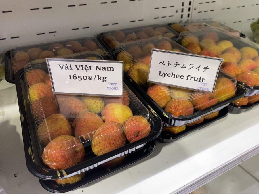 Vải thiều sớm Tân Yên (Bắc Giang) lên kệ siêu thị Nhật Bản bán với giá 1.650 Yên/kg, tương đương khoảng 350.000 đồng/kg. Vải thiều sớm Tân Yên (Bắc Giang) lên kệ siêu thị Nhật Bản bán với giá 1.650 Yên/kg, tương đương khoảng 350.000 đồng/kg.