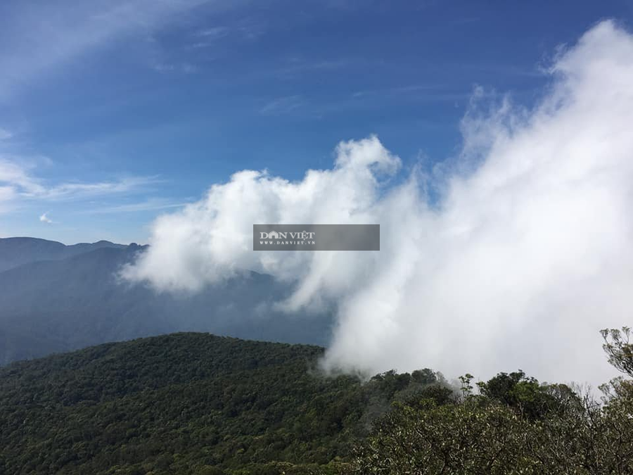 Có cảm giác như chúng ta ... chạm được vào mây...