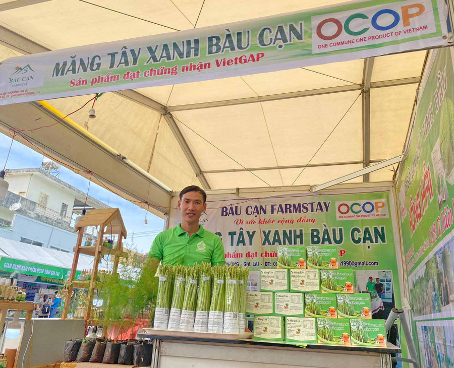 Mô hình măng tây của anh Trần Văn Hạnh (xã Bàu Cạn, huyện Chư Prông) đã đạt được chứng nhận OCOP cấp tỉnh. Ảnh Phan Lài