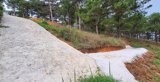 Các đối tượng ngang nhiên làm đường bê tông giữa đất rừng