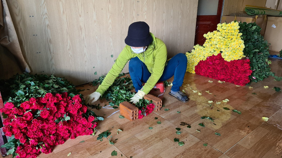 Đóng hoa đi các tỉnh tiêu thụ. ẢNH: LÂM VIÊN