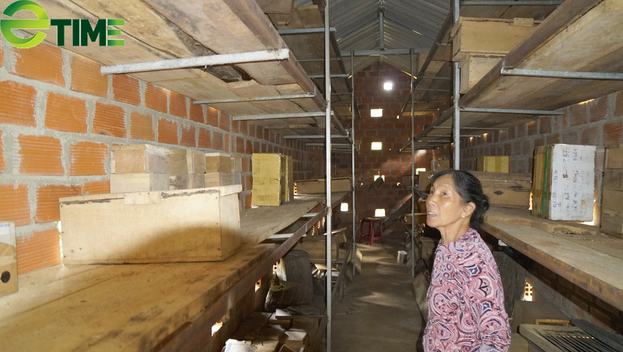 Người nhà anh Tô Vũ Thành Tín (xã Ân Tín, huyện Hoài Ân, tỉnh Bình Định) kiểm tra bên trong mô hình nuôi ong dú.