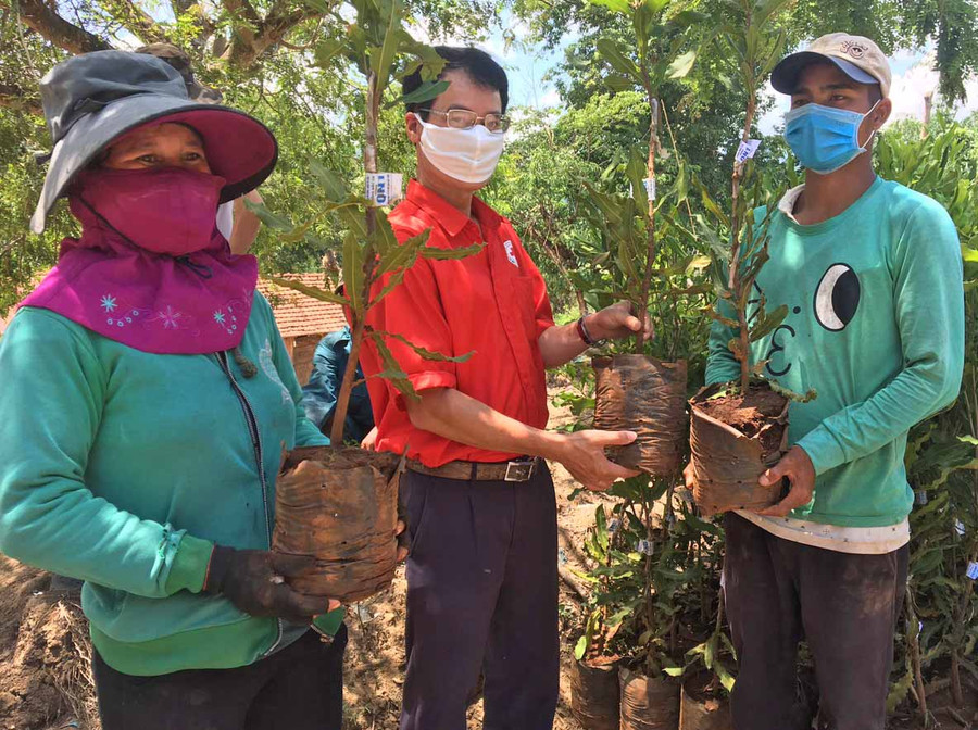 Hỗ trợ cây giống Mắc ca cho người dân bị ảnh hưởng bởi mưa lũ năm 2020 (GLO)- Ngày 29-5, Hội Chữ thập đỏ tỉnh Gia Lai phối hợp với Công ty TNHH Dương Gia Gia Lai và UBND xã Krong tổ chức cấp cây giống Mắc ca cho người dân bị ảnh hưởng bởi mưa lũ năm 2020 tại xã Krong, huyện Kbang. Theo đó, Hội đã tổ chức cấp 8.000 cây giống cho 100 hộ dân (mỗi hộ 80 cây, tương đương với 5 triệu đồng/hộ). Tổng trị giá 500 triệu đồng từ nguồn tài trợ của Hội Chữ thập đỏ thành phố Hồ Chí Minh. Được biết, trước khi cấp cây giống Hội Chữ thập đỏ tỉnh đã phối hợp với Hiệp Hội Mắc ca Việt Nam tổ chức tập huấn về kỹ thuật trồng và chăm sóc cây giống Mắc ca, nhằm hỗ trợ kiến thức cho bà con trong quá trình trồng và chăm sóc cây. Đây là hoạt động ý nghĩa, thiết thực và hy vọng Mắc ca sẽ là cây mang giá trị kinh tế, từng bước nâng cao chất lượng cuộc sống cho bà con xã Krong. HỒNG NGỌC Lãnh đạo Hội Chữ thập đỏ tỉnh cấp cây giống cho người dân xã Krong. Ảnh: Hồng Ngọc