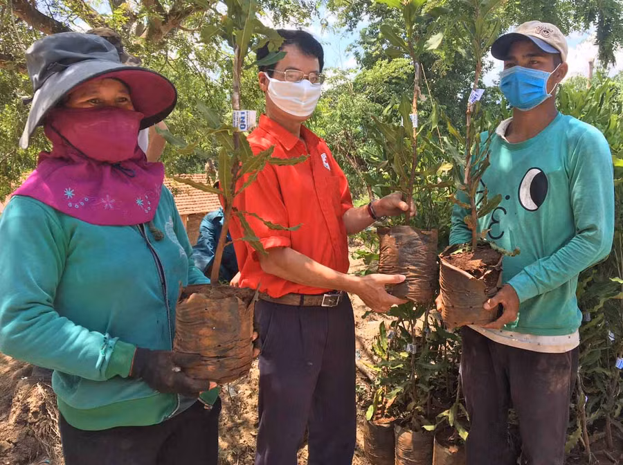 Hỗ trợ cây giống Mắc ca cho người dân bị ảnh hưởng bởi mưa lũ năm 2020 (GLO)- Ngày 29-5, Hội Chữ thập đỏ tỉnh Gia Lai phối hợp với Công ty TNHH Dương Gia Gia Lai và UBND xã Krong tổ chức cấp cây giống Mắc ca cho người dân bị ảnh hưởng bởi mưa lũ năm 2020 tại xã Krong, huyện Kbang. Theo đó, Hội đã tổ chức cấp 8.000 cây giống cho 100 hộ dân (mỗi hộ 80 cây, tương đương với 5 triệu đồng/hộ). Tổng trị giá 500 triệu đồng từ nguồn tài trợ của Hội Chữ thập đỏ thành phố Hồ Chí Minh. Được biết, trước khi cấp cây giống Hội Chữ thập đỏ tỉnh đã phối hợp với Hiệp Hội Mắc ca Việt Nam tổ chức tập huấn về kỹ thuật trồng và chăm sóc cây giống Mắc ca, nhằm hỗ trợ kiến thức cho bà con trong quá trình trồng và chăm sóc cây. Đây là hoạt động ý nghĩa, thiết thực và hy vọng Mắc ca sẽ là cây mang giá trị kinh tế, từng bước nâng cao chất lượng cuộc sống cho bà con xã Krong. HỒNG NGỌC Lãnh đạo Hội Chữ thập đỏ tỉnh cấp cây giống cho người dân xã Krong. Ảnh: Hồng Ngọc