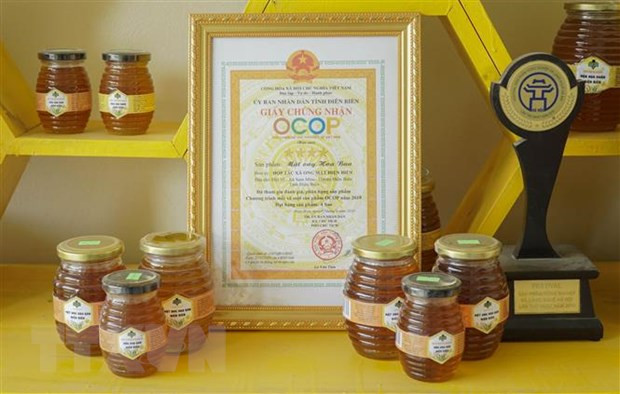 Mật ong Hoa Ban (sản phẩm OCOP 4 sao) là sản phẩm mật ong đặc trưng của Hợp tác xã ong mật Điện Biên. (Ảnh: Xuân Tư/TTXVN)