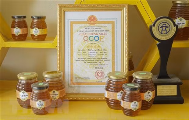 Mật ong Hoa Ban (sản phẩm OCOP 4 sao) là sản phẩm mật ong đặc trưng của Hợp tác xã ong mật Điện Biên. (Ảnh: Xuân Tư/TTXVN)