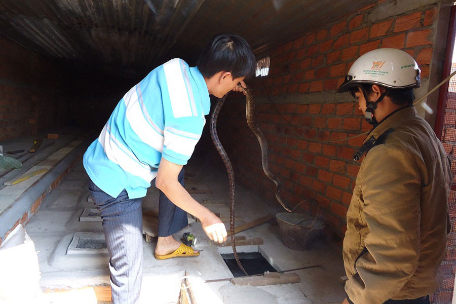 Ảnh: Bá Thăng Ảnh: Bá Thăng