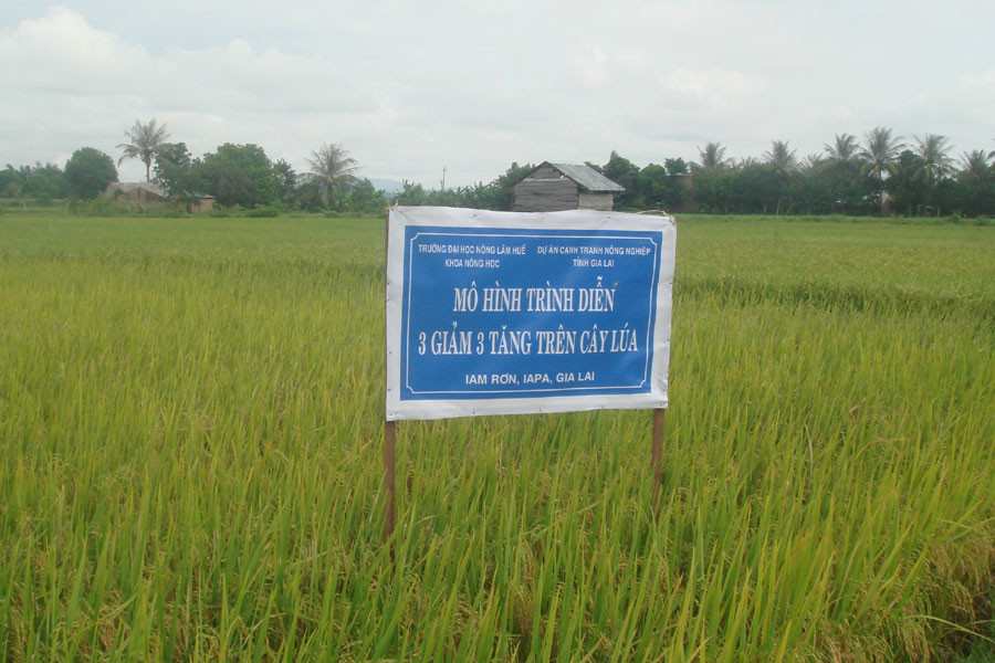 Ảnh: Nguyễn Diệp Ảnh: Nguyễn Diệp