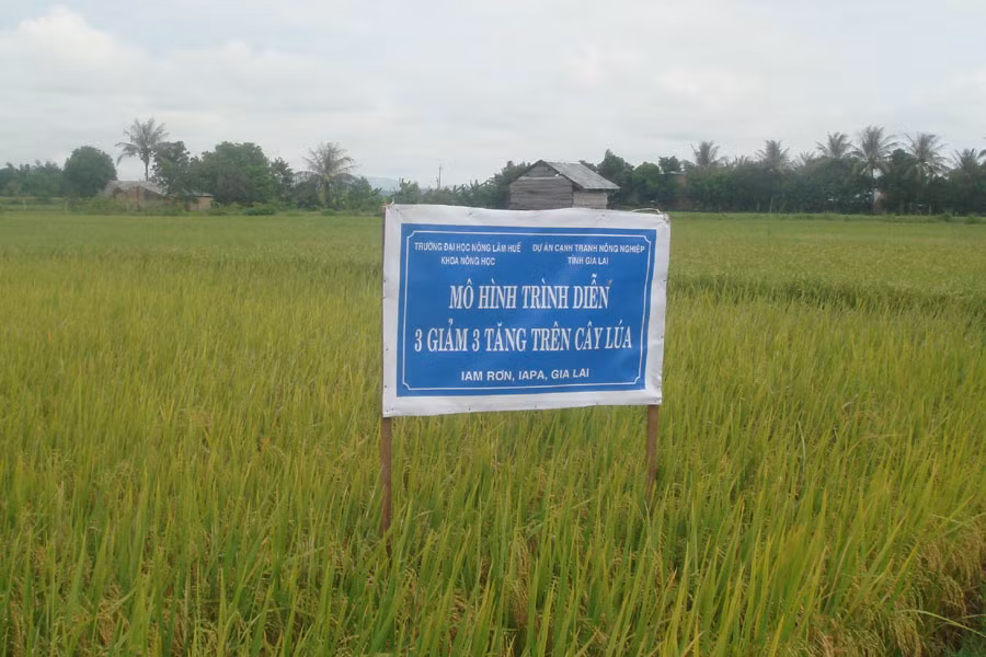 Ảnh: Nguyễn Diệp