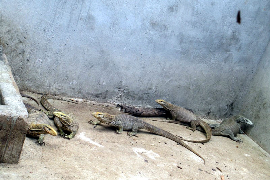 Ảnh: Quang Tấn Ảnh: Quang Tấn