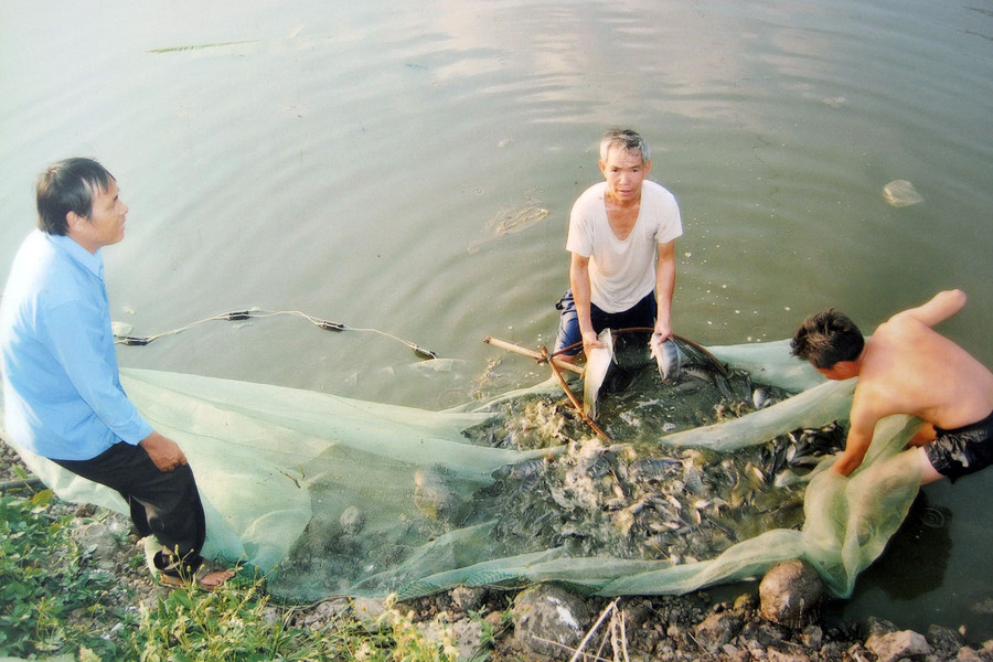 Mô hình nuôi cá nước ngọt của gia đình ông Bùi Sĩ Liên-xã Ia Le-huyện Chư Pưh. Ảnh: Trần Dung