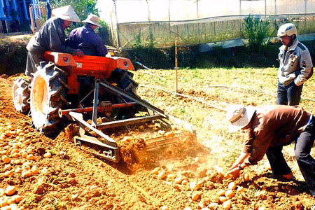 Đà Lạt: Nông dân chế tạo máy đào khoai tây ảnh 1