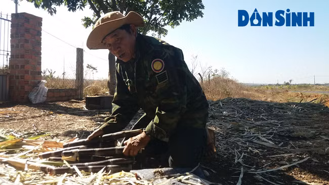 Người dân dóc mía chặt ra từng khúc để bán cho người đi đường