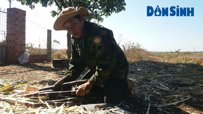 Người dân dóc mía chặt ra từng khúc để bán cho người đi đường