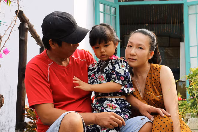 Cây cóc đỏ nằm trong Danh lục Thực vật Sách đỏ Việt Nam tại rừng Cần Giờ. Ảnh: Phạm Thu Ngân 