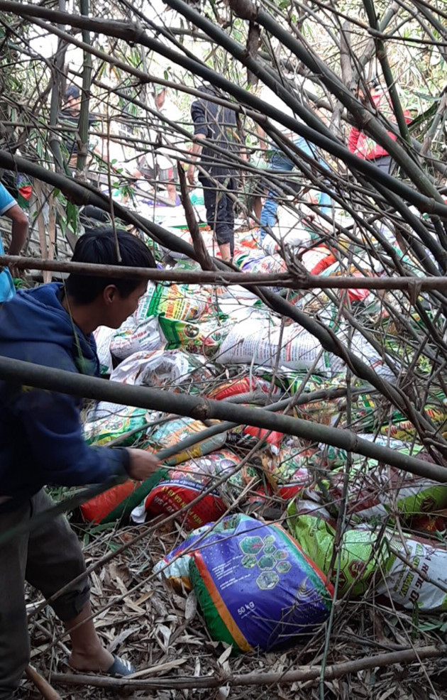 Phân bón rơi lăn lóc dưới rừng le - Ảnh: Lâm Viên Phân bón rơi lăn lóc dưới rừng le - Ảnh: Lâm Viên