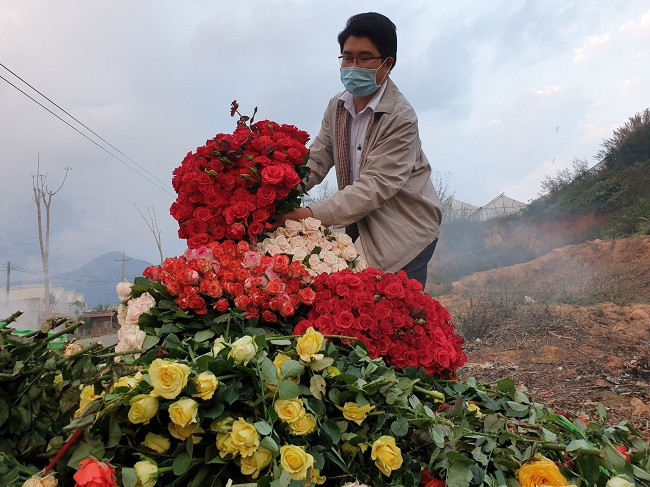 Một đống hoa hồng các loại bị người dân ném bên đường tại thị trấn Lạc Dương để tiêu hủy