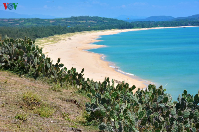 Vài năm gần đây, Phú Yên tăng sức nóng một phần nhờ hiệu ứng của bộ phim Tôi thấy hoa vàng trên cỏ xanh với Gành Ông - Bãi Xép. Đừng quên lắng nghe Bài chòi - di sản văn hóa phi vật thể của nhân loại, thưởng thức các món ăn trứ danh cá ngừ đại dương, sò huyết, bánh hỏi lòng heo, chả dông, cơm gà,...