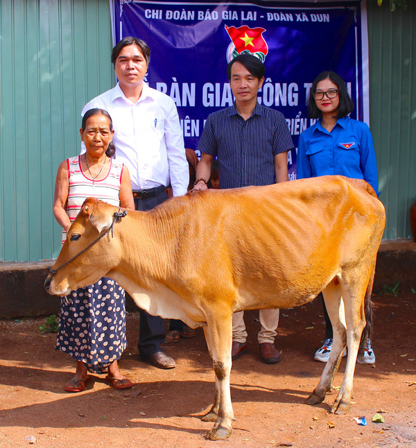 Chi đoàn Báo Gia Lai trao tặng bò cho bà Siu A Yoai (làng Pan, xã Dun, huyện Chư Sê). Ảnh: M.T Chi đoàn Báo Gia Lai trao tặng bò cho bà Siu A Yoai (làng Pan, xã Dun, huyện Chư Sê). Ảnh: M.T