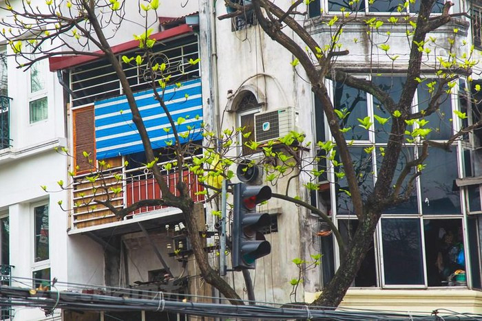 (Ảnh: Thế Đại/Vietnam+) (Ảnh: Thế Đại/Vietnam+)