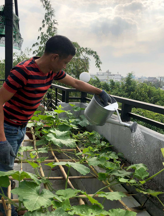 Hồ sen nở quanh năm trên sân thượng 300 m2Cuối cùng anh quyết định tự thiết kế mảnh vườn trên sân thượng sao cho phù hợp với không gian và thời gian của mình. Vườn được chia thành nhiều khu, mỗi một nơi đều tính toán theo số giờ đón nắng, hướng nào nhiều gió, vị trí nào gần vòi rửa... "Ở khe tường chỉ 20 cm tôi vẫn trồng được rau bí phát triển rất tốt bởi đoạn tường đó ngược hướng mặt trời", anh nói. Hồ sen nở quanh năm trên sân thượng 300 m2Cuối cùng anh quyết định tự thiết kế mảnh vườn trên sân thượng sao cho phù hợp với không gian và thời gian của mình. Vườn được chia thành nhiều khu, mỗi một nơi đều tính toán theo số giờ đón nắng, hướng nào nhiều gió, vị trí nào gần vòi rửa...