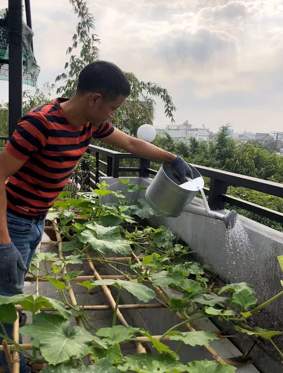Hồ sen nở quanh năm trên sân thượng 300 m2Cuối cùng anh quyết định tự thiết kế mảnh vườn trên sân thượng sao cho phù hợp với không gian và thời gian của mình. Vườn được chia thành nhiều khu, mỗi một nơi đều tính toán theo số giờ đón nắng, hướng nào nhiều gió, vị trí nào gần vòi rửa... 