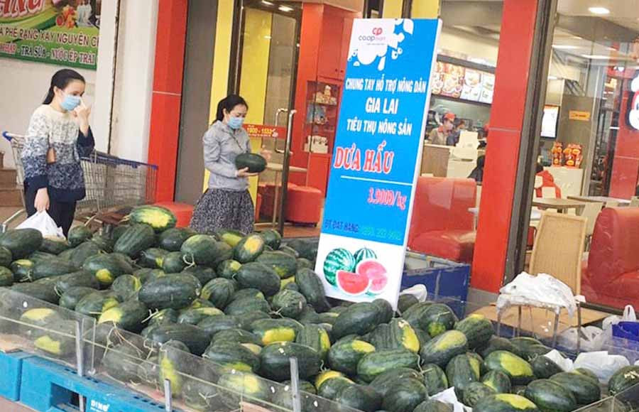 Siêu thị Co.opMart Pleiku chung tay hỗ trợ nông dân tiêu thụ nông sản. Ảnh: Vũ Thảo