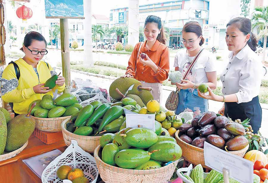 Sản phẩm trái cây được trưng bày tại Ngày hội Du lịch Kbang năm 2019. Ảnh: Đ.T