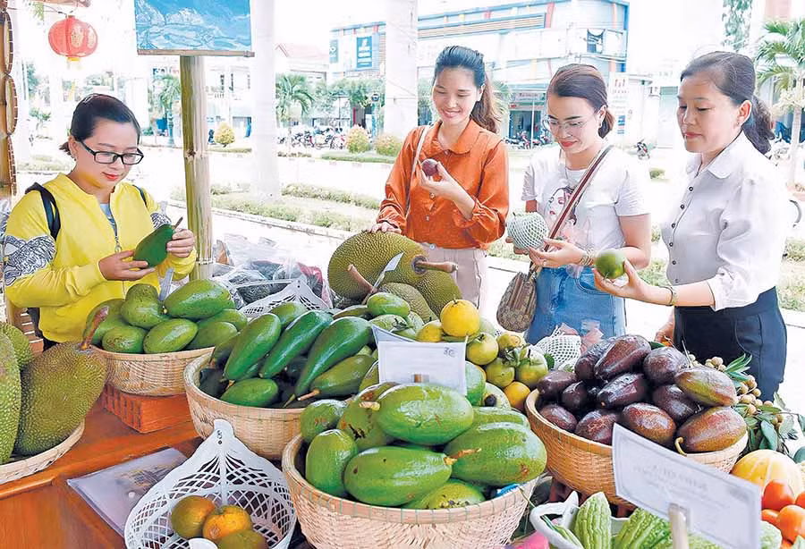 Sản phẩm trái cây được trưng bày tại Ngày hội Du lịch Kbang năm 2019. Ảnh: Đ.T