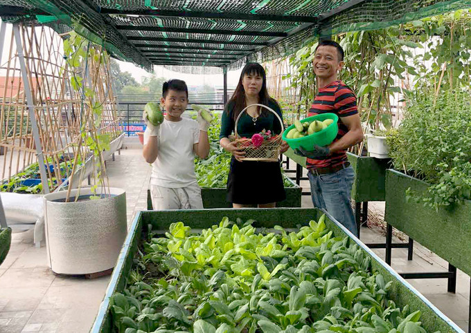 Hồ sen nở quanh năm trên sân thượng 300 m2Khu vườn trở thành nơi thư giãn, giải trí cho anh Huynh và vợ con. Sau giờ làm căng thẳng, anh cởi bỏ bộ vest, mặc quần soóc, áo phông ướt đẫm mồ hôi để làm nông dân và hạnh phúc khi nhìn thấy vợ con vui đùa bên vườn lộng gió. "Tôi coi sân thượng là một thử thách để rèn cho tôi sự sáng tạo, kiên nhẫn", doanh nhân này cho biết thêm. Hồ sen nở quanh năm trên sân thượng 300 m2Khu vườn trở thành nơi thư giãn, giải trí cho anh Huynh và vợ con. Sau giờ làm căng thẳng, anh cởi bỏ bộ vest, mặc quần soóc, áo phông ướt đẫm mồ hôi để làm nông dân và hạnh phúc khi nhìn thấy vợ con vui đùa bên vườn lộng gió.