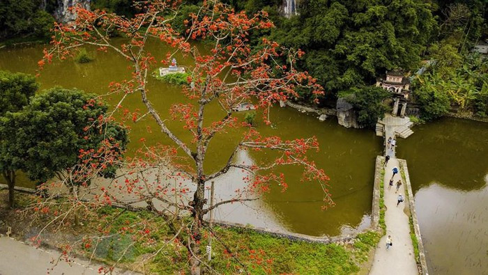 Cây gạo đầu làng, cây gạo bên đình chùa đền miếu trở thành thân quen với người làng quê Việt Nam. (Ảnh: Minh Đức/TTXVN) Cây gạo đầu làng, cây gạo bên đình chùa đền miếu trở thành thân quen với người làng quê Việt Nam. (Ảnh: Minh Đức/TTXVN)
