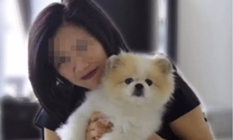 Con chó Phốc Sóc đầu tiên được xác nhận nhiễm nCoV từ chủ nhân ở Hong Kong. Ảnh: FB.