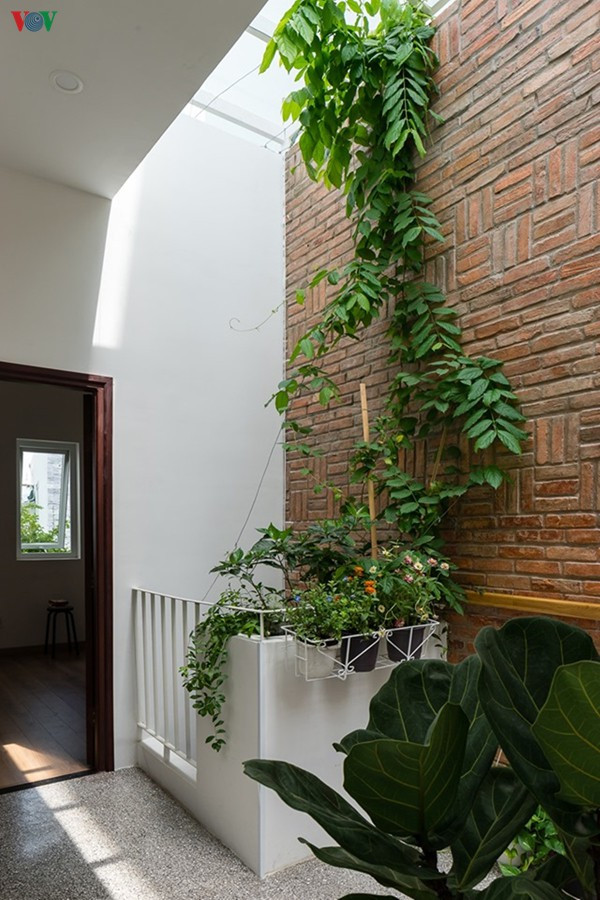 Trong nhà còn những khoảng thông tầng khác để đảm bảo ánh sáng và thông gió cho khu vực giữa nhà. Màu xanh cây cối hiện diện ở nhiều nơi đem lại cảm giác thư thái dễ chịu.