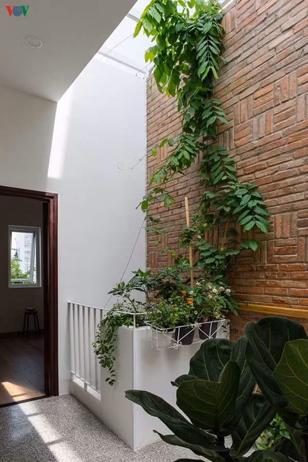 Trong nhà còn những khoảng thông tầng khác để đảm bảo ánh sáng và thông gió cho khu vực giữa nhà. Màu xanh cây cối hiện diện ở nhiều nơi đem lại cảm giác thư thái dễ chịu.