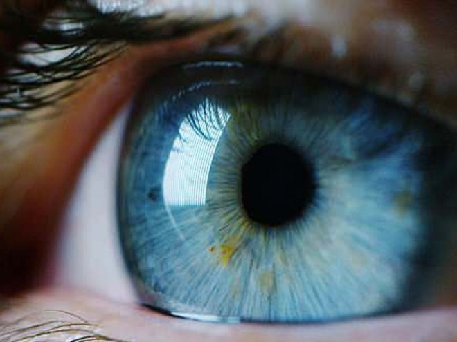 Để mắt khỏe, bạn cần tránh ăn gia vị nhiều, các loại cá biển lớn, thực phẩm chế biến sẵn, khoai tây chiên/ Ảnh minh họa: Shutterstock