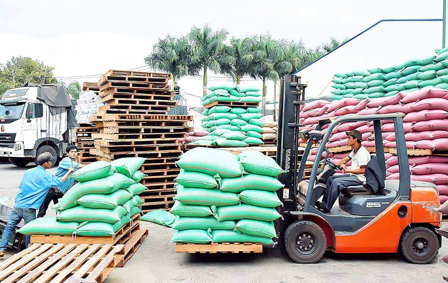 Xuất khẩu cà phê tại Công ty TNHH Vĩnh Hiệp (TP. Pleiku). Ảnh: Đ.T