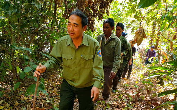 Tuần tra bảo vệ rừng. Ảnh: N.T