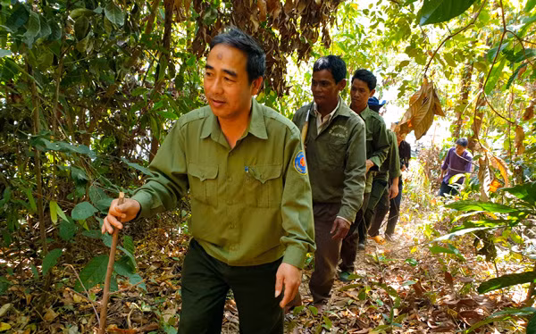 Tuần tra bảo vệ rừng. Ảnh: N.T