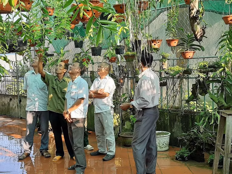 Mô hình trồng hoa lan của bác Đỗ Văn Sâm thu hút được nhiều hội viên, nông dân và đông đảo người chơi lan rừng trong vùng đến thăm quan và học hỏi, trao đổi kinh nghiệm trồng lan rừng...