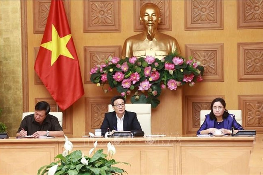 Phó Thủ tướng Chính phủ Vũ Đức Đam phát biểu chỉ đạo cuộc họp. Ảnh: Doãn Tấn/TTXVN