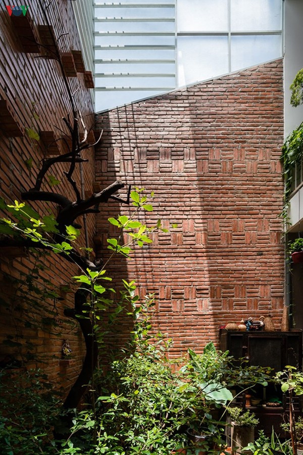 Khoảng sân – mảnh vườn nhỏ có thể đón nắng gió từ trên do ngôi nhà không quá cao. Không gian mở và vẫn kín đáo, gợi cảm giác bình yên.