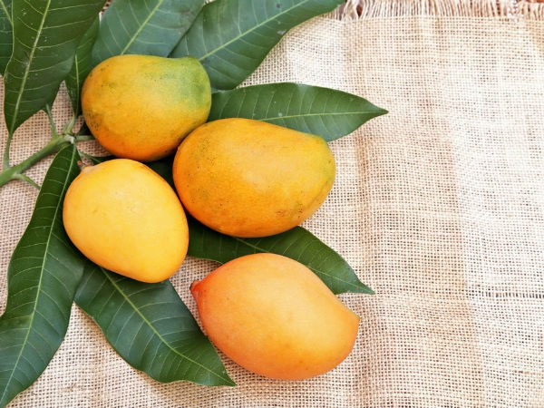 Xoài: Cứ 100g xoài lại chứa 14g đường, do đó ăn xoài có thể ảnh hưởng xấu đến cân bằng đường huyết. Ăn xoài thường xuyên có thể gây tăng đường huyết kéo dài. Xoài: Cứ 100g xoài lại chứa 14g đường, do đó ăn xoài có thể ảnh hưởng xấu đến cân bằng đường huyết. Ăn xoài thường xuyên có thể gây tăng đường huyết kéo dài.