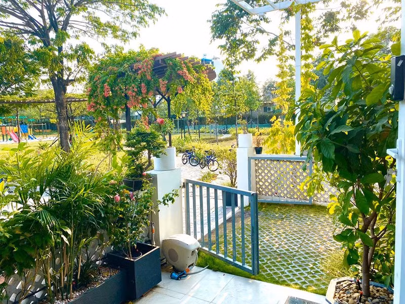 Trên trang cá nhân, NSƯT Trịnh Kim Chi chia sẻ những bức ảnh khu vườn xanh mướt mắt.