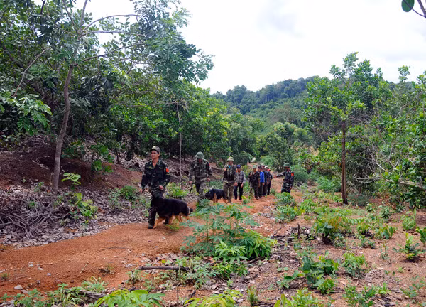 Lực lượng Bộ đội Biên phòng phối hợp với tổ tự quản làng Bi (xã Ia O, huyện Ia Grai) tuần tra bảo vệ đường biên, cột mốc. Ảnh: A.H