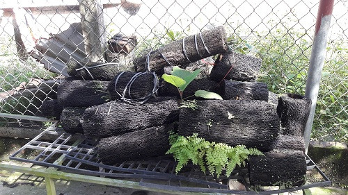 Những giá thể được anh Long tìm về để trồng lan. Ảnh: N. Duyên.